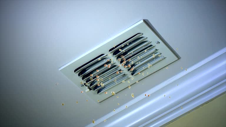 Best Ductwork Cleaning Services  in St Pauls, NC